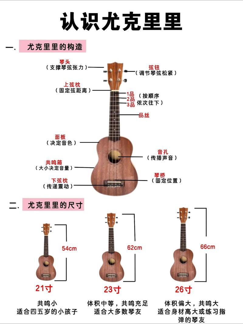 尤克里里的入门与提升:如何选择培训课程?